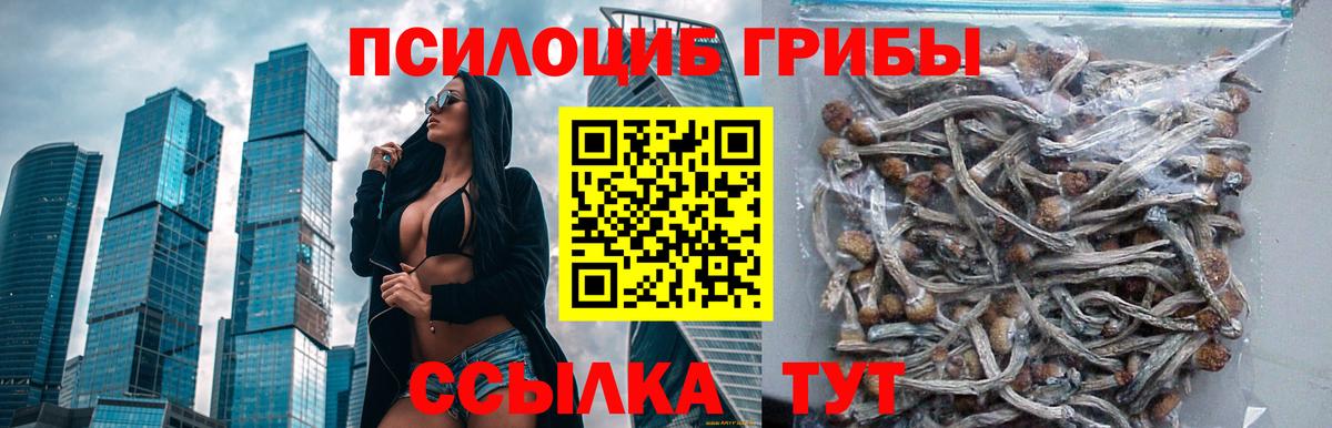 Галлюциногенные грибы ЛСД  хочу наркоту  Балаково  Галлюциногенные грибы прущие грибы  Вход с VPN 